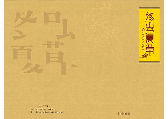 &#24320;&#20113;&#40;&#20013;&#22269;&#41;&#75;&#97;&#105;&#121;&#117;&#110;